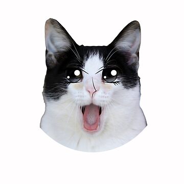 Swag Cat - Discord Pfp