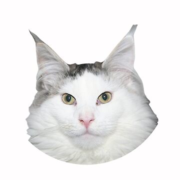 Just A Men Who Loves Beluga Cat' Sticker | Spreadshirt