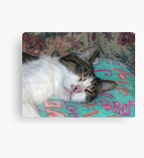 Honey Sleeping Canvas Print