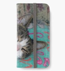 Honey Sleeping iPhone Wallet/Case/Skin