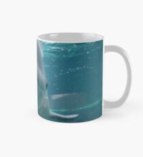 Juno Tasse