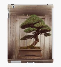 Bonzai Tree iPad Case/Skin