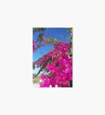 Bougainvillea - triple flower Art Board