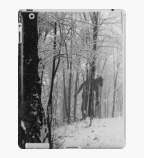 Lonely... iPad Case/Skin