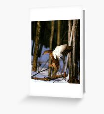 Duck Duck Duck Greeting Card