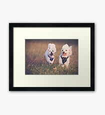 Puppy Fun Framed Print