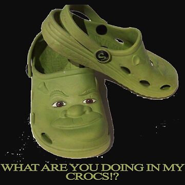 What are you doing in my Shrek Crocs  Metal Print for Sale by