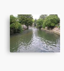 Arbre Canvas Print