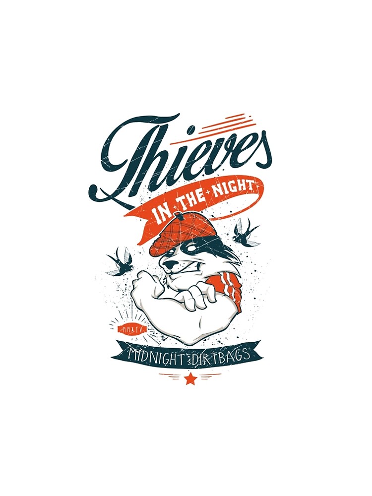 "Raccoon thief" A-Line Dress by CorvusAttic | Redbubble