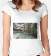 Well Campdevanol River Women's Fitted Scoop T-Shirt