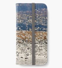 Snow Geese At Willow Point iPhone Wallet/Case/Skin