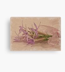 Mauve Ribboned Stars Canvas Print