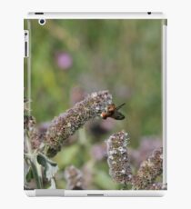 flower with insect iPad Case/Skin