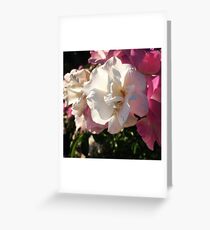 Soft Pink Greeting Card