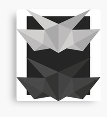 Lemaitre structure B&W Canvas Print