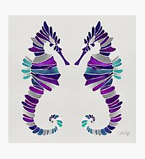 Seahorse – Purple & Silver Photographic Print