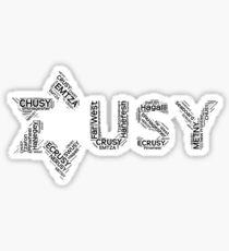 USY Logo - Regions Clear Background Sticker