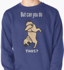 Pug Dog can you do this? Pullover