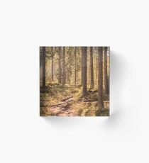 Footpath Acrylic Block