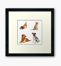 Dogs Pattern Bag Framed Print