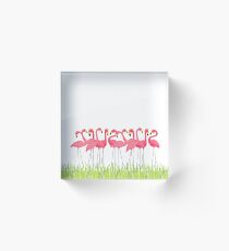 Pink Flamingos Illustration Acrylic Block