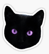 Pounce, Faithful Sticker