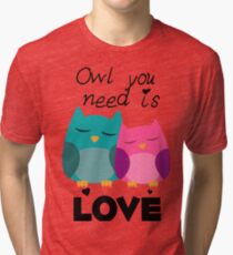 Owl You Need Is Love Tri-blend T-Shirt