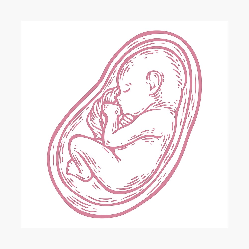 "Human fetus concept hand drawn vector illustration prenatal growing