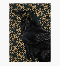 Raven Photographic Print