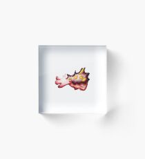 Flamboyant Cuttlefish Acrylic Block