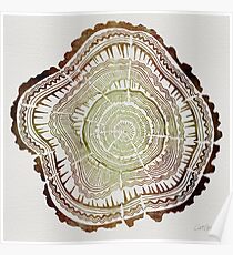 Tree Rings – Watercolor Poster