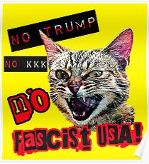 No Fascist USA Cat Poster