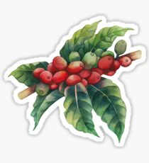 Aquarell Kaffeebohnen Sticker