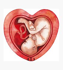 Watercolor fetus inside the heart shaped womb Photographic Print