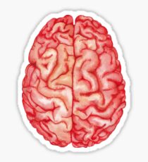 Watercolor brain Sticker