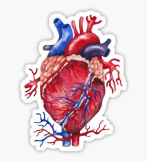 Watercolor heart Sticker