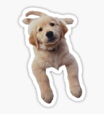 Golden Retriever Sticker