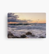Waves Metal Print