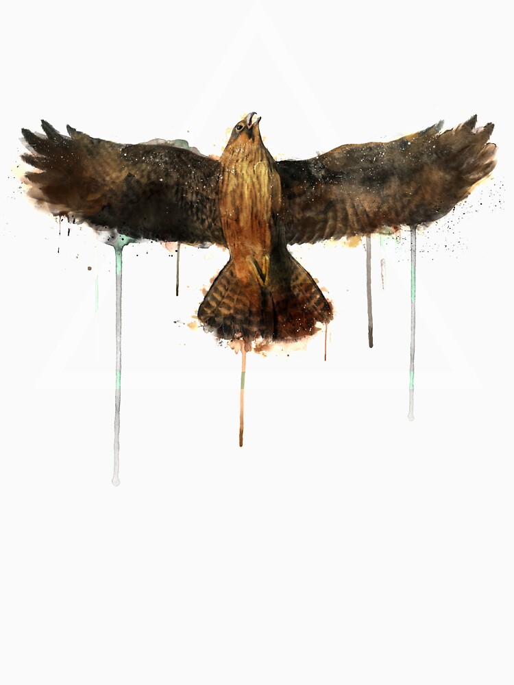 Falcon by AmyHamilton