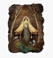 Fey Queen (Fairy Queen) Photographic Print