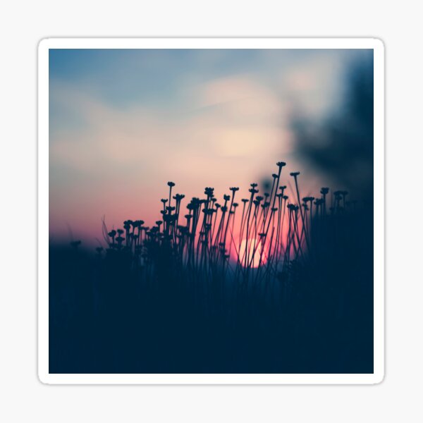 beach sunset Sticker