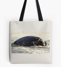 Turtle Resting - Heron Island, Australia Tote Bag