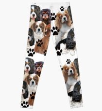 Cavalier Spaniel Family Group Leggings