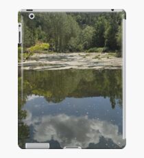 lanscape iPad Case/Skin
