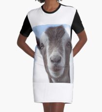 Close up Goat Graphic T-Shirt Dress