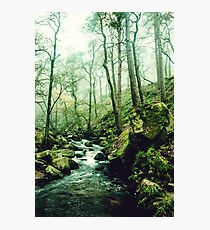 The Secrets of a Flowing Creative Mind Photographic Print