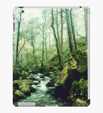 The Secrets of a Flowing Creative Mind iPad Case/Skin