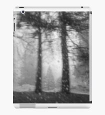 rainy winter iPad Case/Skin