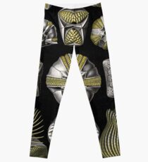 Blastoidea - Ernst Haeckel Leggings
