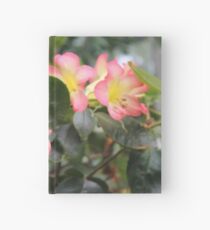 Butterfly Nectar Hardcover Journal